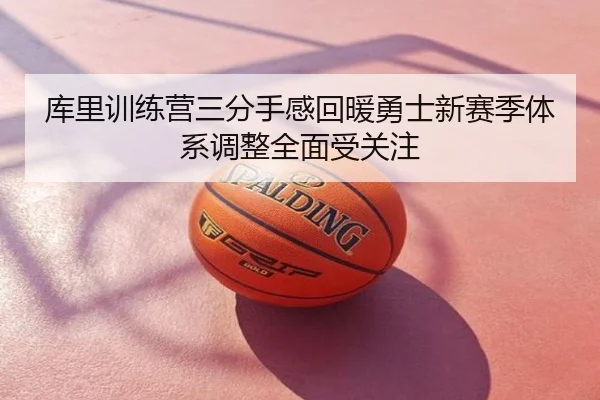 库里训练营三分手感回暖勇士新赛季体系调整全面受关注