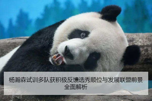 杨瀚森试训多队获积极反馈选秀顺位与发展联盟前景全面解析
